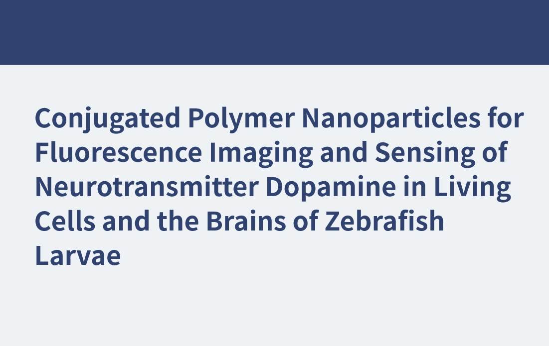 Nanoparticules polymères conjuguées pour l'imagerie par fluorescence et la détection du neurotransmetteur dopamine dans les cellules vivantes et le cerveau des larves de poisson zèbre
    