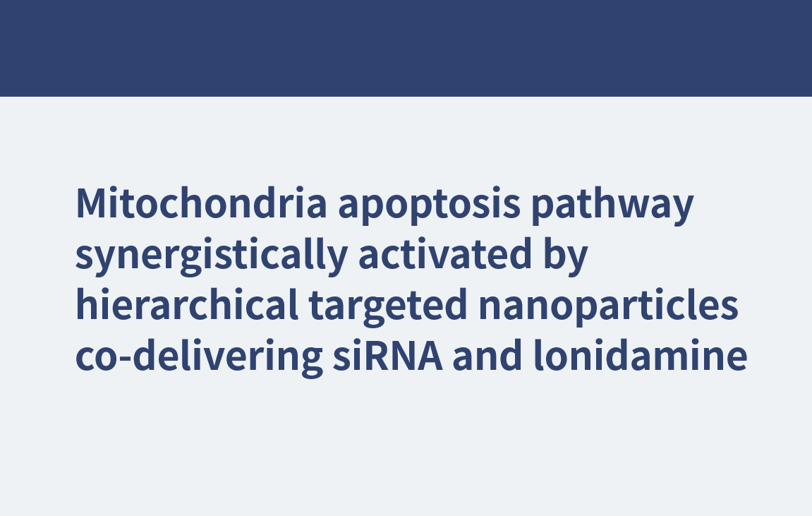 Voie d'apoptose des mitochondries activée en synergie par des nanoparticules ciblées hiérarchiques co-délivrant des siRNA et de la lonidamine