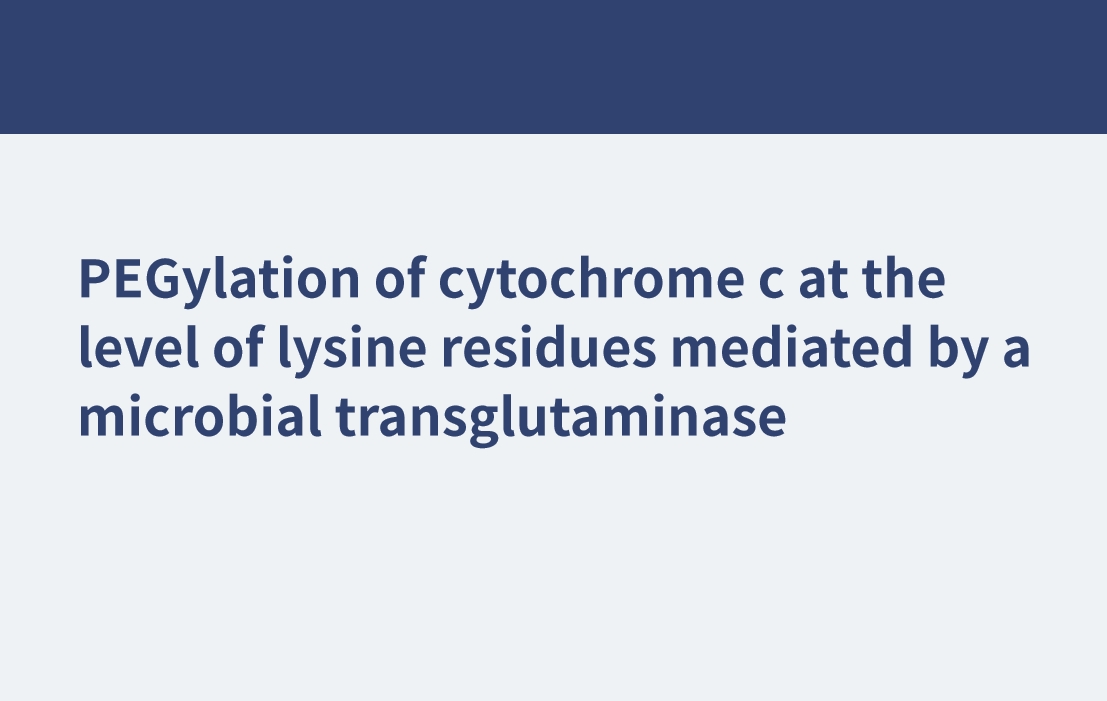 PEGylation du cytochrome c au niveau des résidus lysine médiée par une transglutaminase microbienne
    