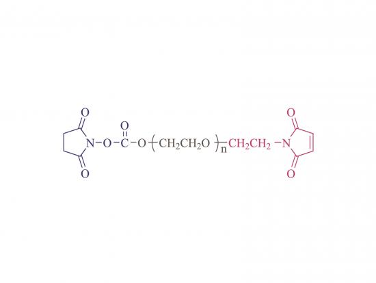 α-succinimidyl-ω-maléimidyl poly (éthylène glycol) 