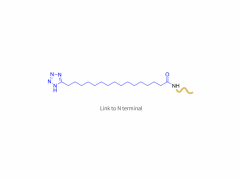 Analogue de l'hormone stimulant les mélanocytes A (N-terminal)