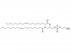 1,2-dioléoyl-sn-glycéro-3-phosphoéthanolamine
