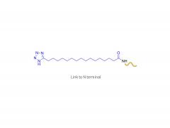 Analogue de l'hormone stimulant les mélanocytes A (N-terminal)