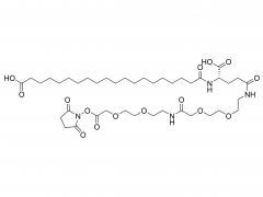 C20-Glu-AEEA-AEEA-OSU