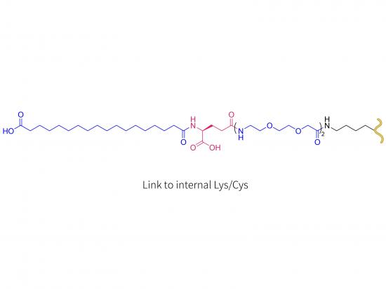 sémaglutide (LYS/CYS)