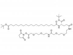 C20-OtBu-Glu(OtBu)-AEEA-AEEA-OSU