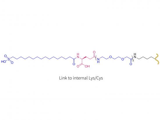 Analogue du peptide YY 0165-1562 (LYS/CYS)