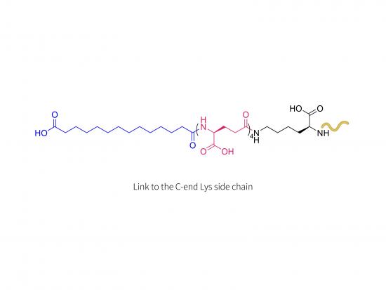 Insuline 0143-0406 (LYS)