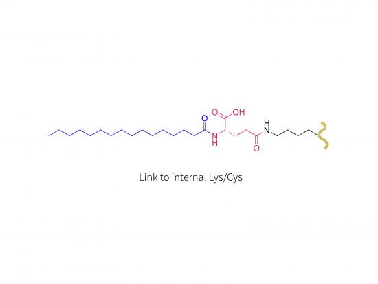 liraglutide (LYS/CYS)