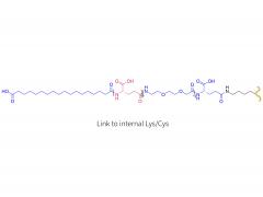 Analogue du glucagon 9240-0530 (LYS/CYS)