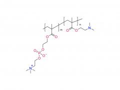 Poly(DMA-co-MPC)