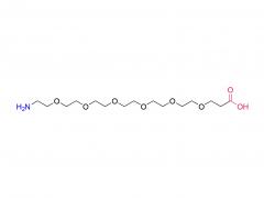 H2N-PEG6-PA