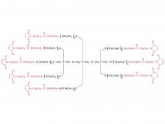 Peg-mal à 8 bras (tp)