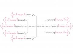 Cheville à 8 bras (TP)