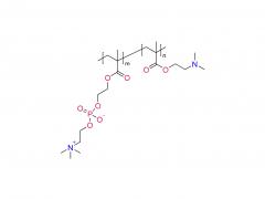 Poly(DMA-co-MPC)