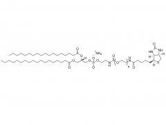 DSPE-PEG-Biotine
