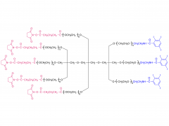 (SG)5-8-bras PEG-(TIB)3(amide)(TP)