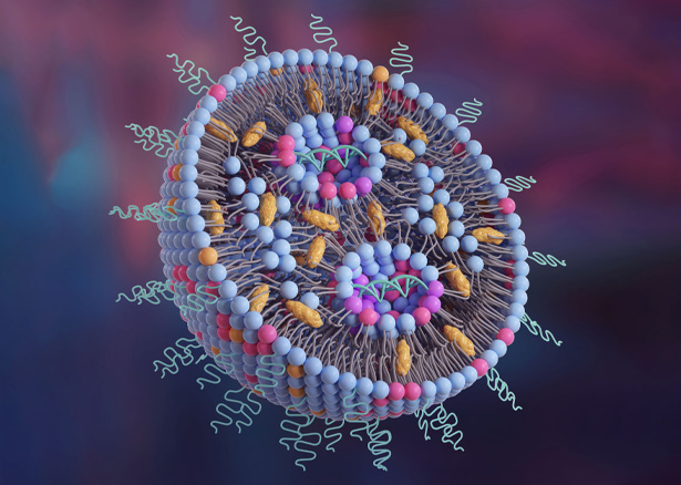  Covid-19 Vaccin Excipients 