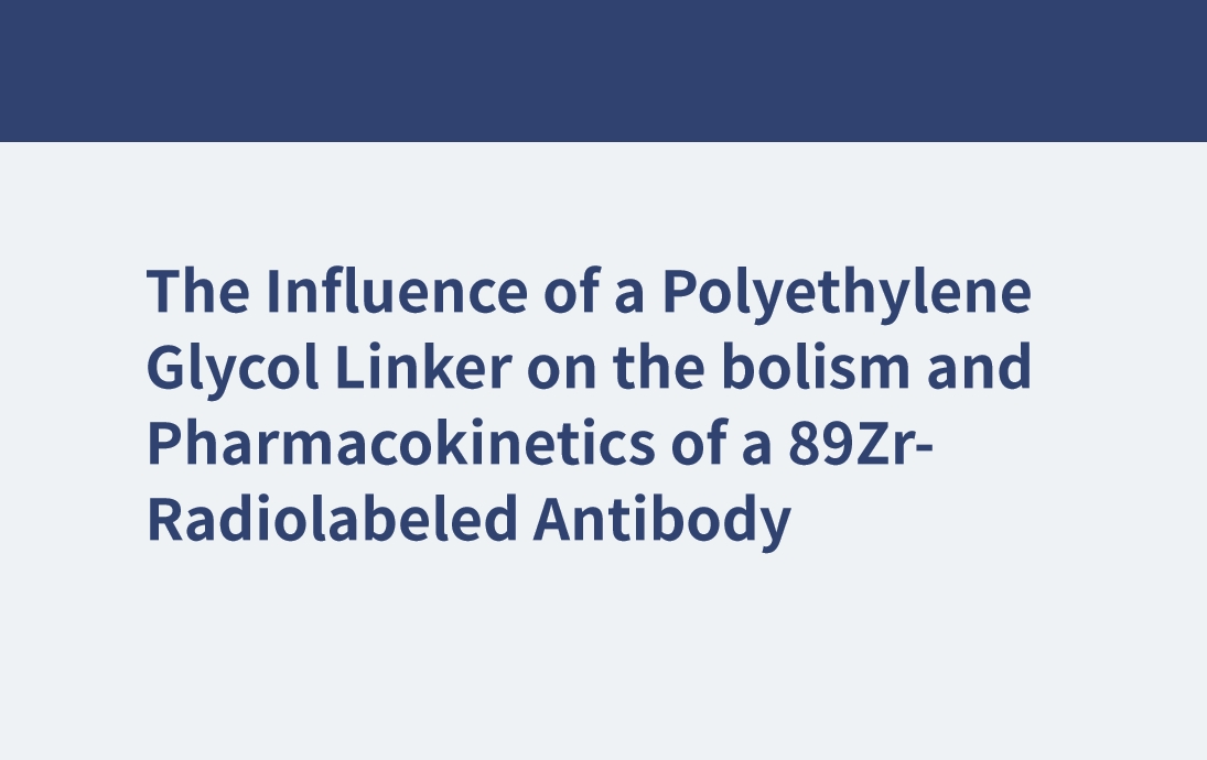 L'influence d'un lieur polyéthylèneglycol sur le métabolisme et la pharmacocinétique d'un anticorps radiomarqué au 89Zr