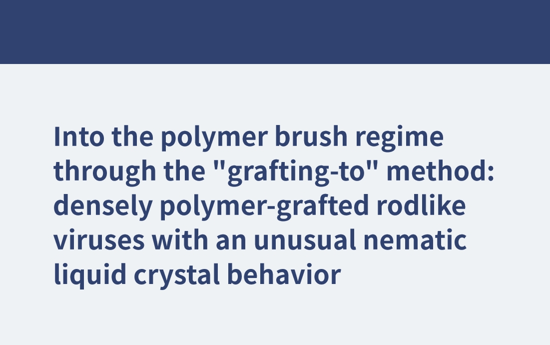 Dans le régime des brosses polymères grâce à la méthode de « greffage sur » : des virus en forme de bâtonnets densément greffés sur un polymère avec un comportement de cristaux liquides nématiques inhabituel