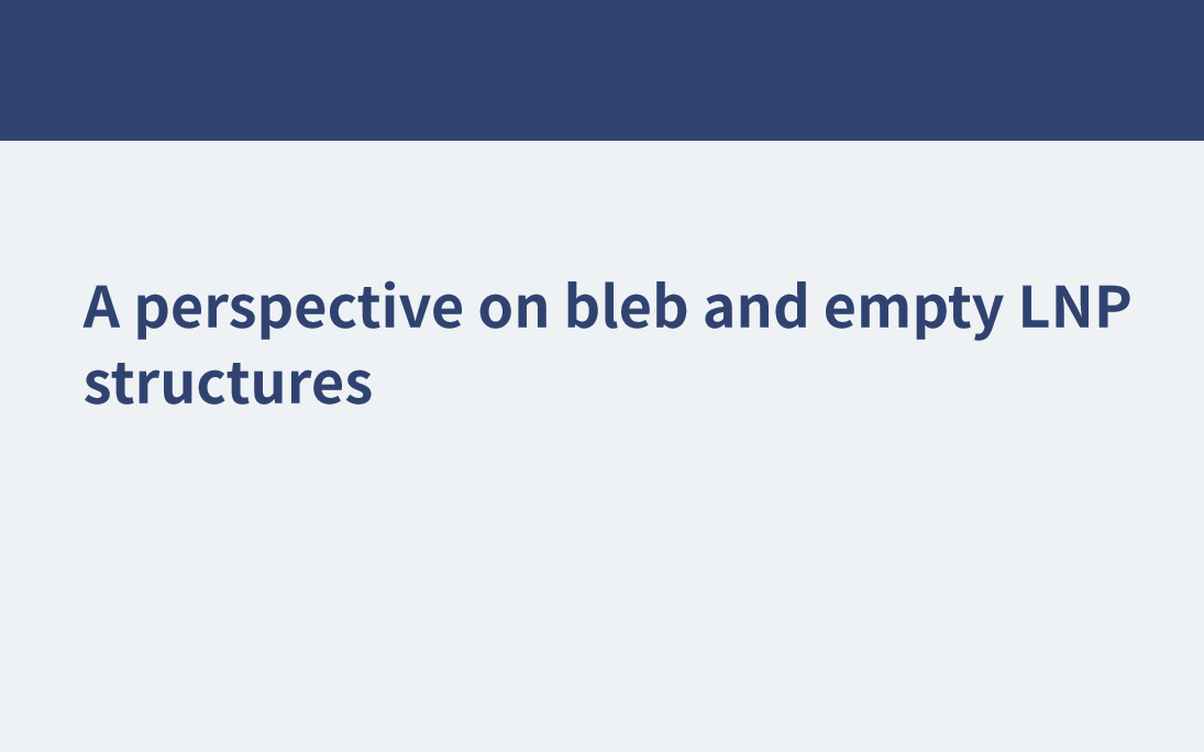 Une perspective sur les structures LNP vides et en bulle
