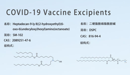 Discussion sur Covid-19 Vaccin Excipients 