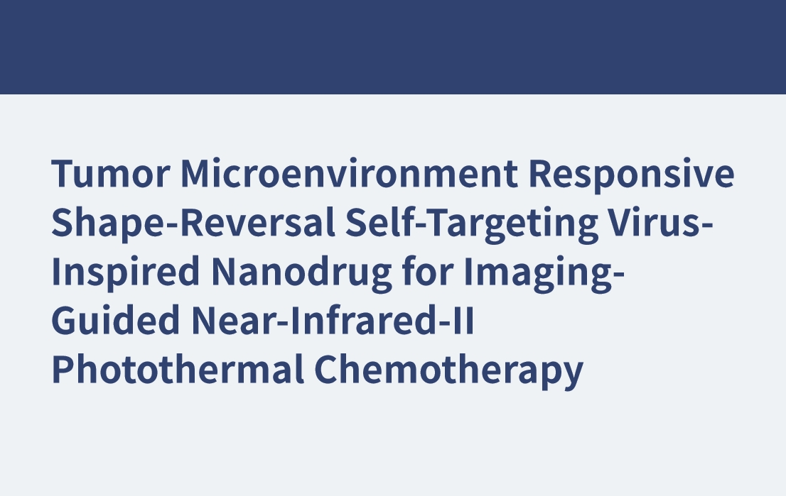 Nanomédicament inspiré du virus, auto-ciblage et inversion de forme sensible au microenvironnement tumoral pour la chimiothérapie photothermique proche infrarouge II guidée par imagerie
    