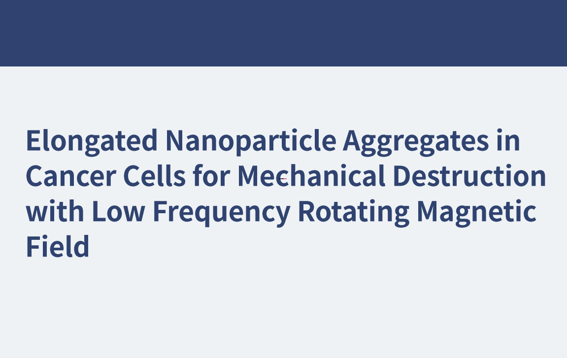 Agrégats de nanoparticules allongées dans les cellules cancéreuses pour destruction mécanique avec champ magnétique rotatif à basse fréquence
