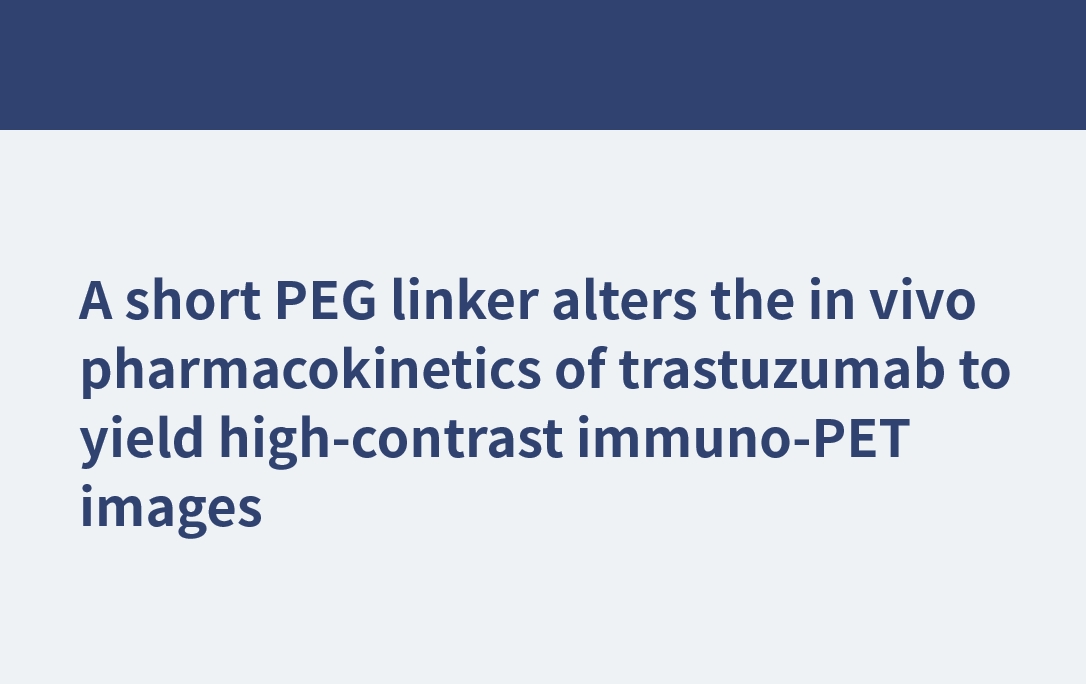 Un court lieur PEG modifie la pharmacocinétique in vivo du trastuzumab pour produire des images immuno-PET à contraste élevé