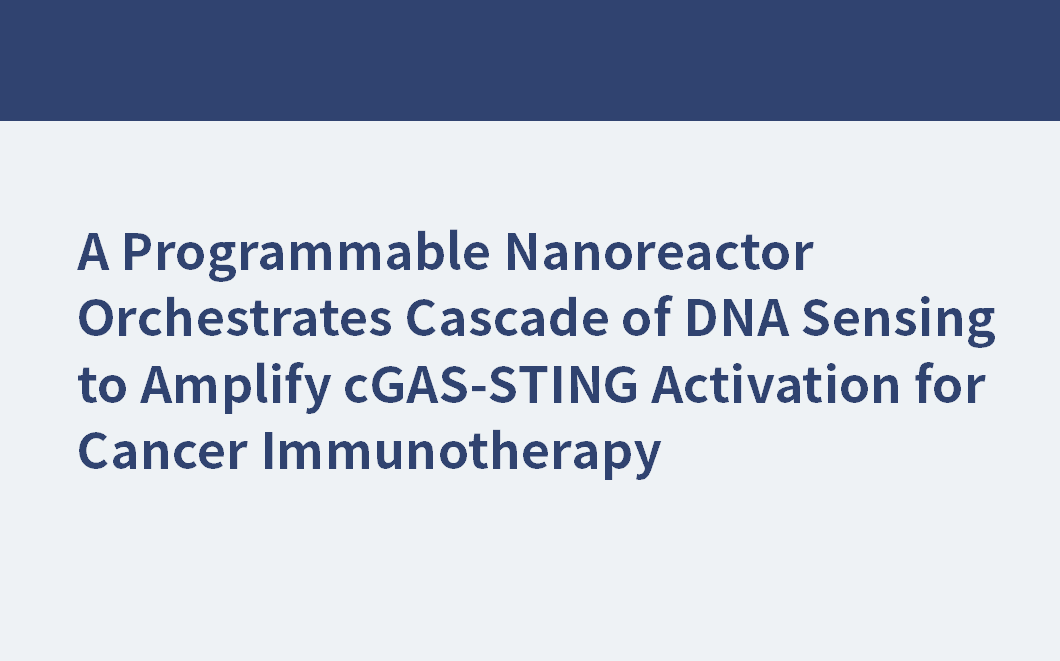 Un nanoréacteur programmable orchestre une cascade de détection d'ADN pour amplifier l'activation de cGAS-STING pour l'immunothérapie du cancer