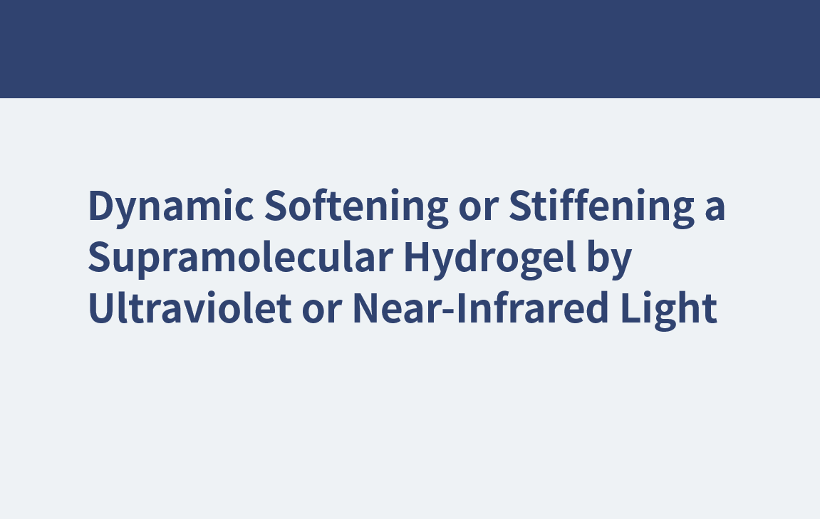 Adoucissement ou raidissement dynamique d'un hydrogel supramoléculaire par la lumière ultraviolette ou proche infrarouge