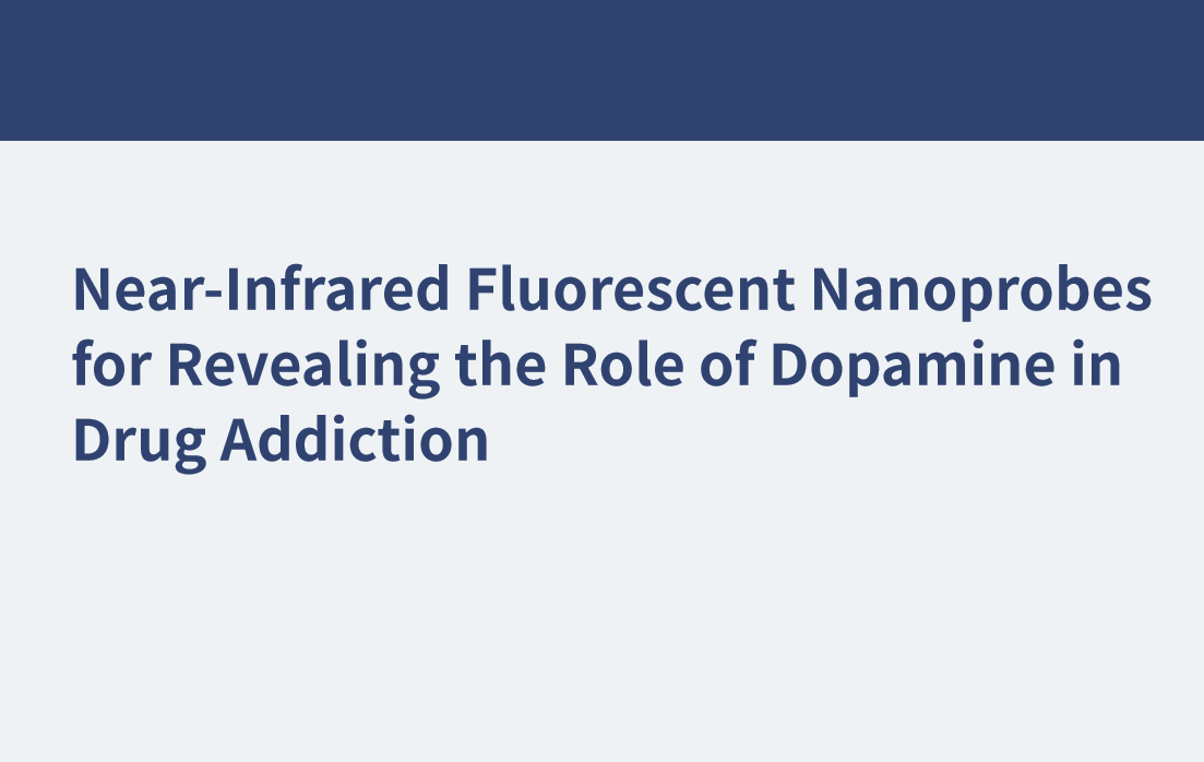 Nanosondes fluorescentes proche infrarouge pour révéler le rôle de la dopamine dans la toxicomanie
    