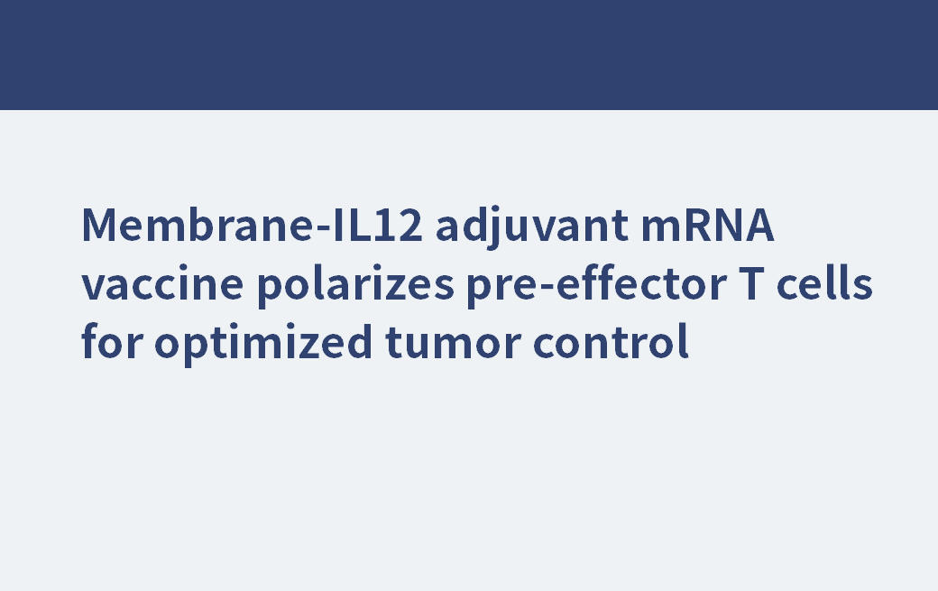 Le vaccin à ARNm adjuvant Membrane-IL12 polarise les lymphocytes T pré-effecteurs pour un contrôle tumoral optimisé