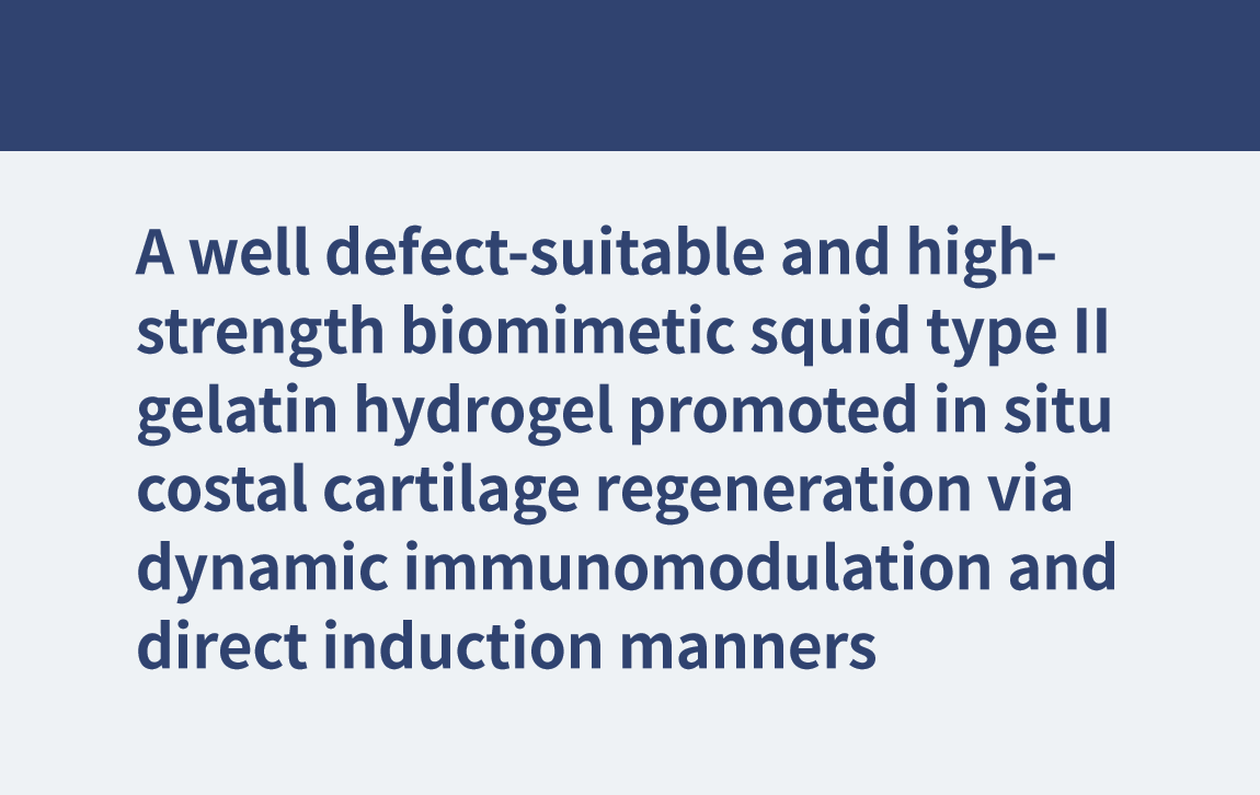 Un hydrogel de gélatine biomimétique de calmar de type II bien adapté aux défauts et à haute résistance a favorisé la régénération in situ du cartilage costal via une immunomodulation dynamique et des manières d'induction directe