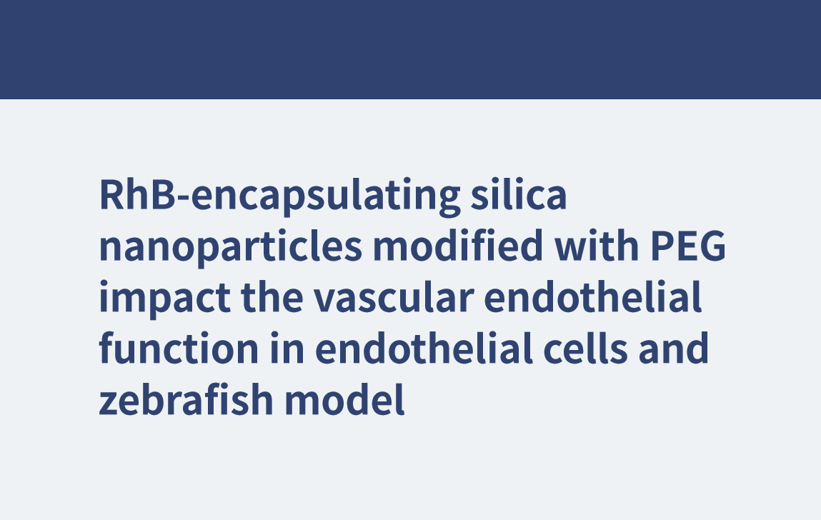 Les nanoparticules de silice encapsulant le RhB modifiées avec du PEG ont un impact sur la fonction endothéliale vasculaire dans les cellules endothéliales et le modèle de poisson zèbre