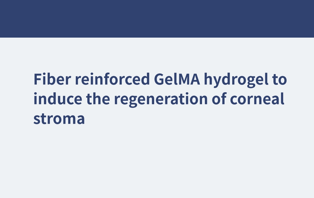 Hydrogel GelMA renforcé de fibres pour induire la régénération du stroma cornéen