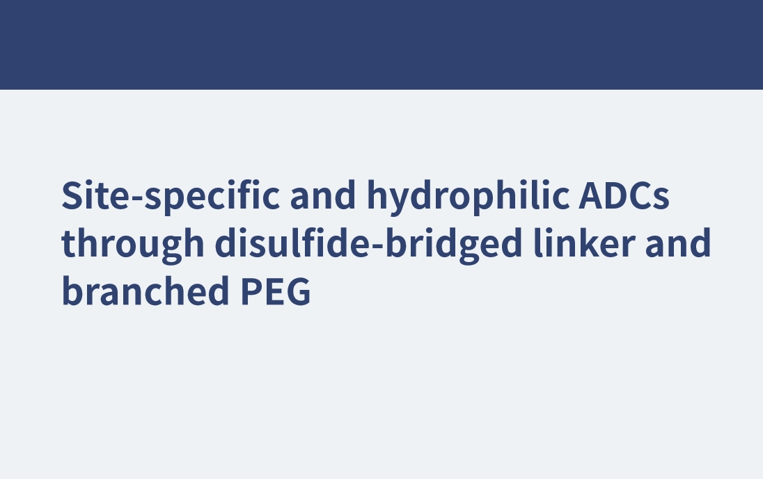 ADC spécifiques au site et hydrophiles via un lieur ponté par disulfure et un PEG ramifié