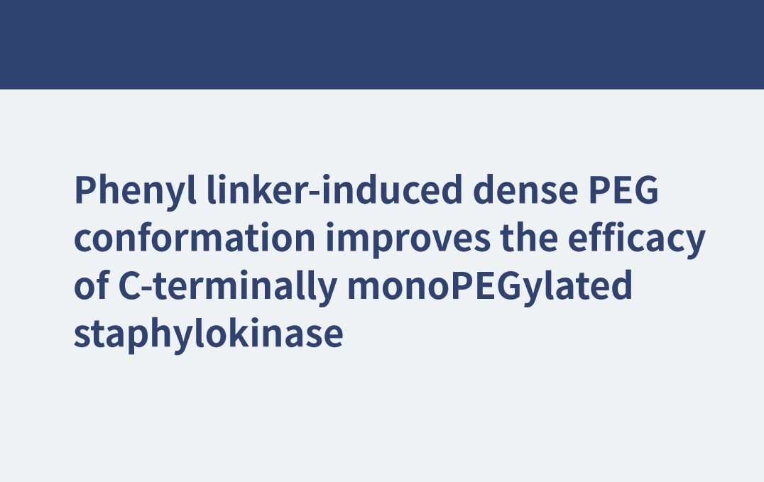 La conformation PEG dense induite par le lieur phényle améliore l'efficacité de la staphylokinase monoPEGylée C-terminale