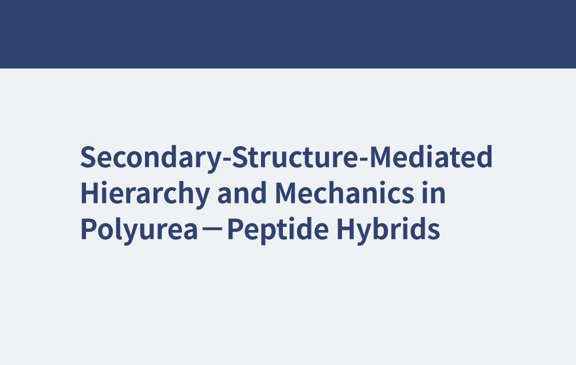 Hiérarchie et mécanique médiées par la structure secondaire dans les hybrides polyurée-peptide