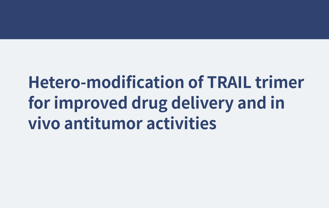 Hétéro-modification du trimère TRAIL pour améliorer l'administration de médicaments et les activités antitumorales in vivo