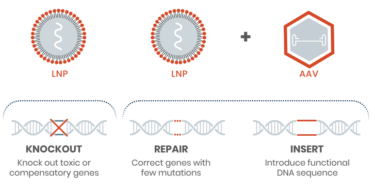 Application LNP : Thérapie d'édition de gènes