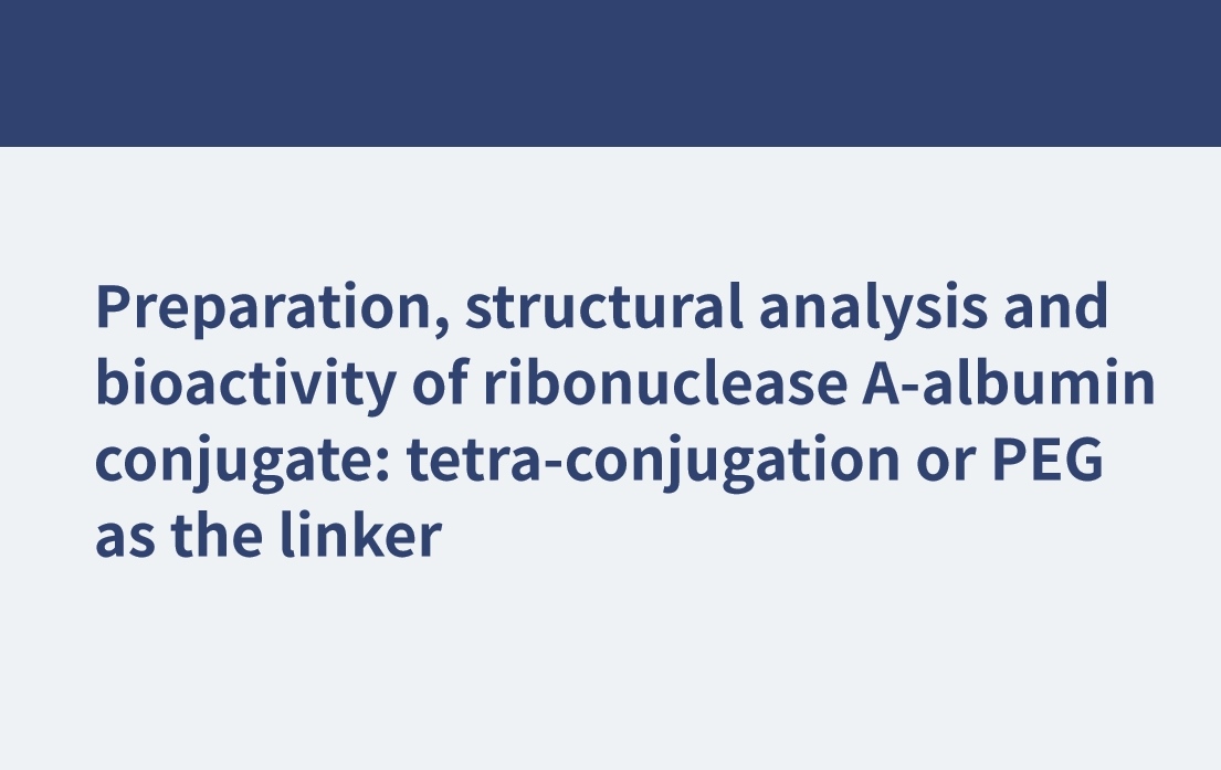 Préparation, analyse structurale et bioactivité du conjugué ribonucléase A-albumine : tétra-conjugaison ou PEG comme lieur